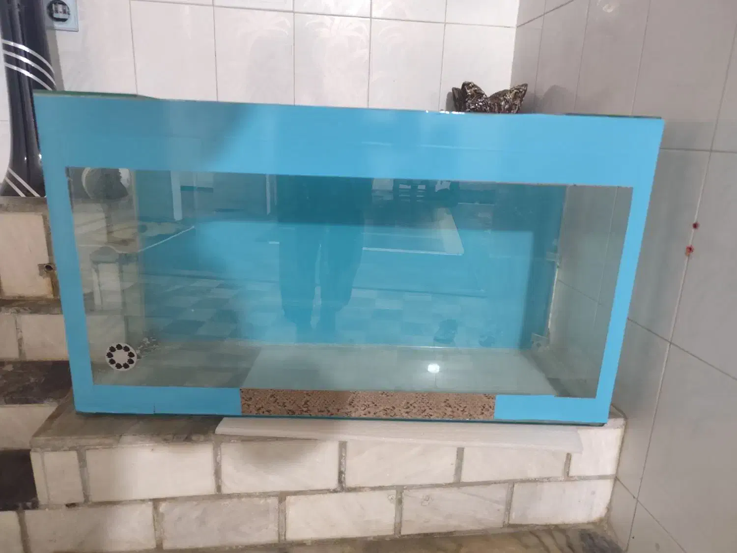 آکواریوم|ماهی|خرمآباد, |دیوار