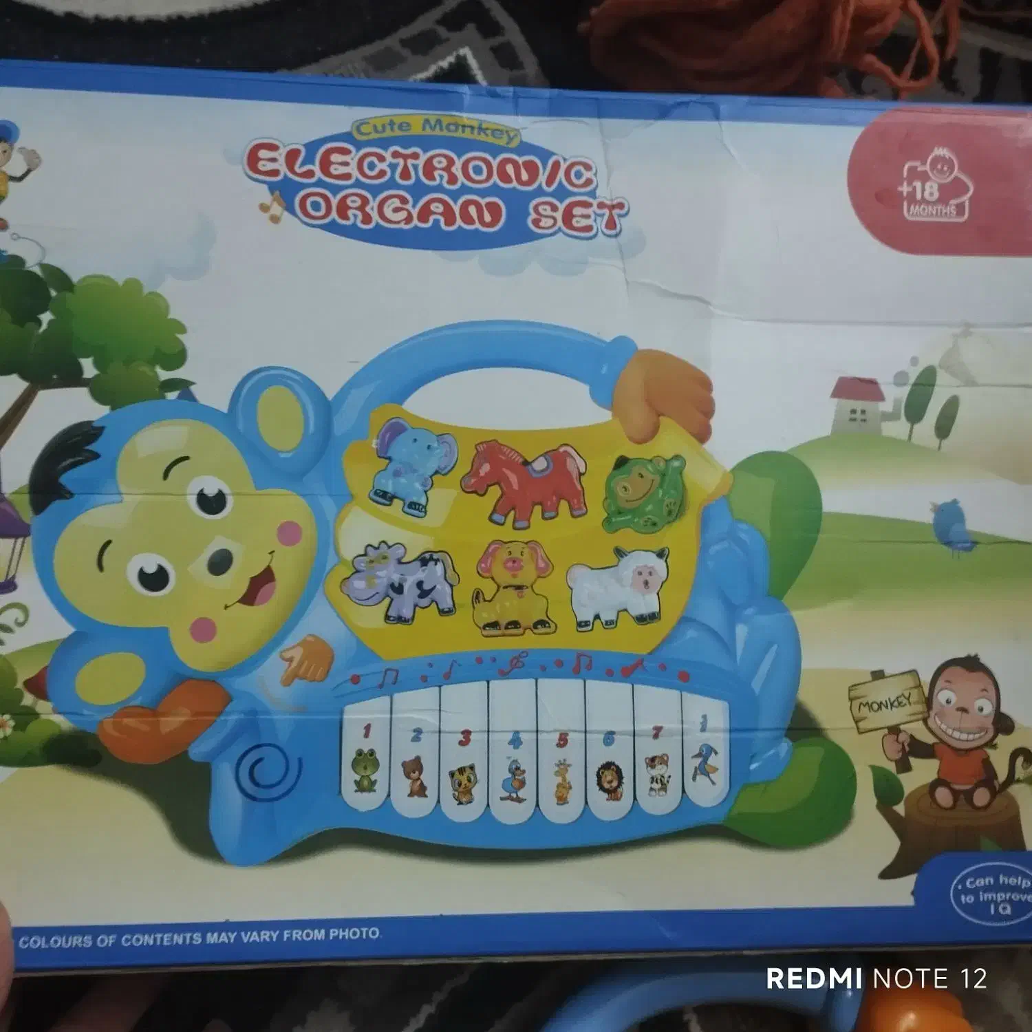 ارگ بچگانه|اسباب‌بازی بچه|دماوند, گیلاوند|دیوار