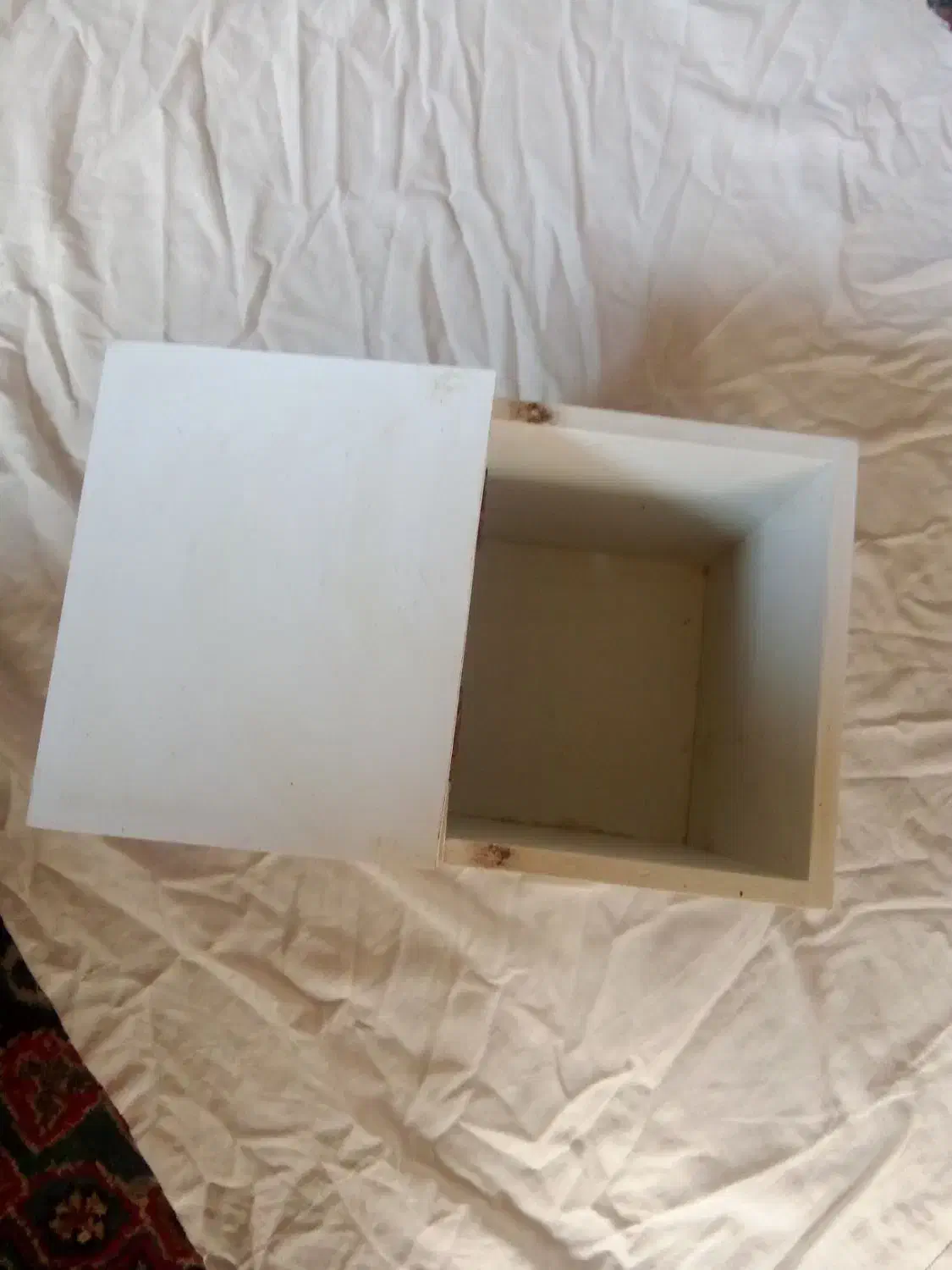 اغل فنچ|لوازم جانبی حیوانات|مشهد, امیریه|دیوار