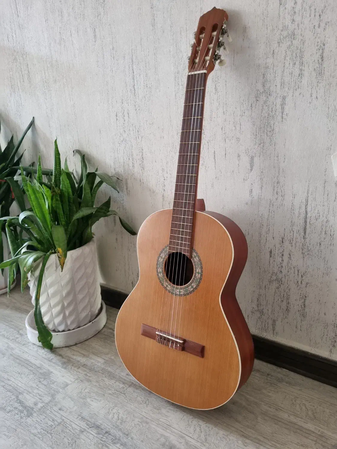 گیتار|گیتار، بیس، امپلیفایر|ارومیه, |دیوار