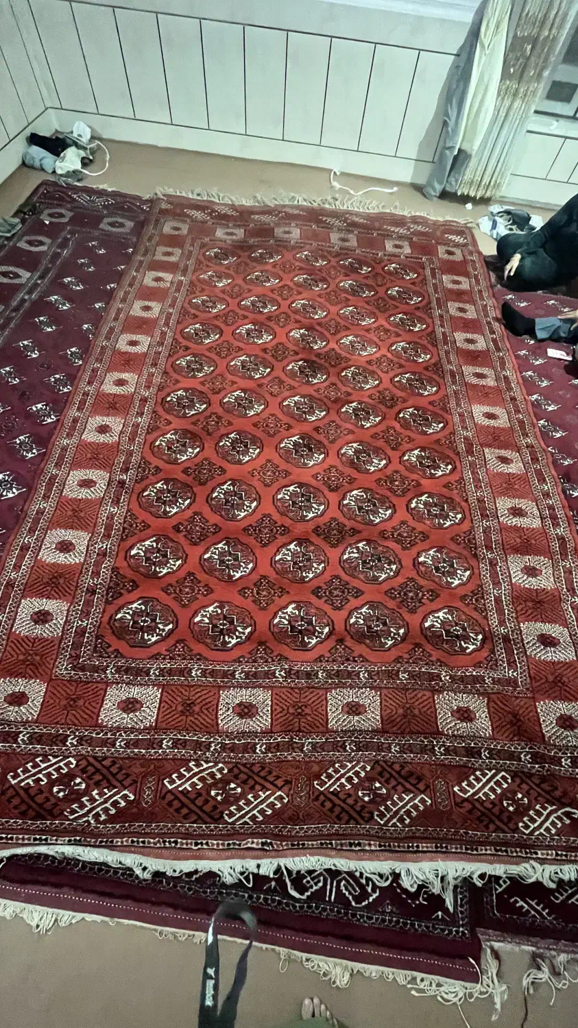 فرش دستباف|فرش|گنبد کاووس, |دیوار