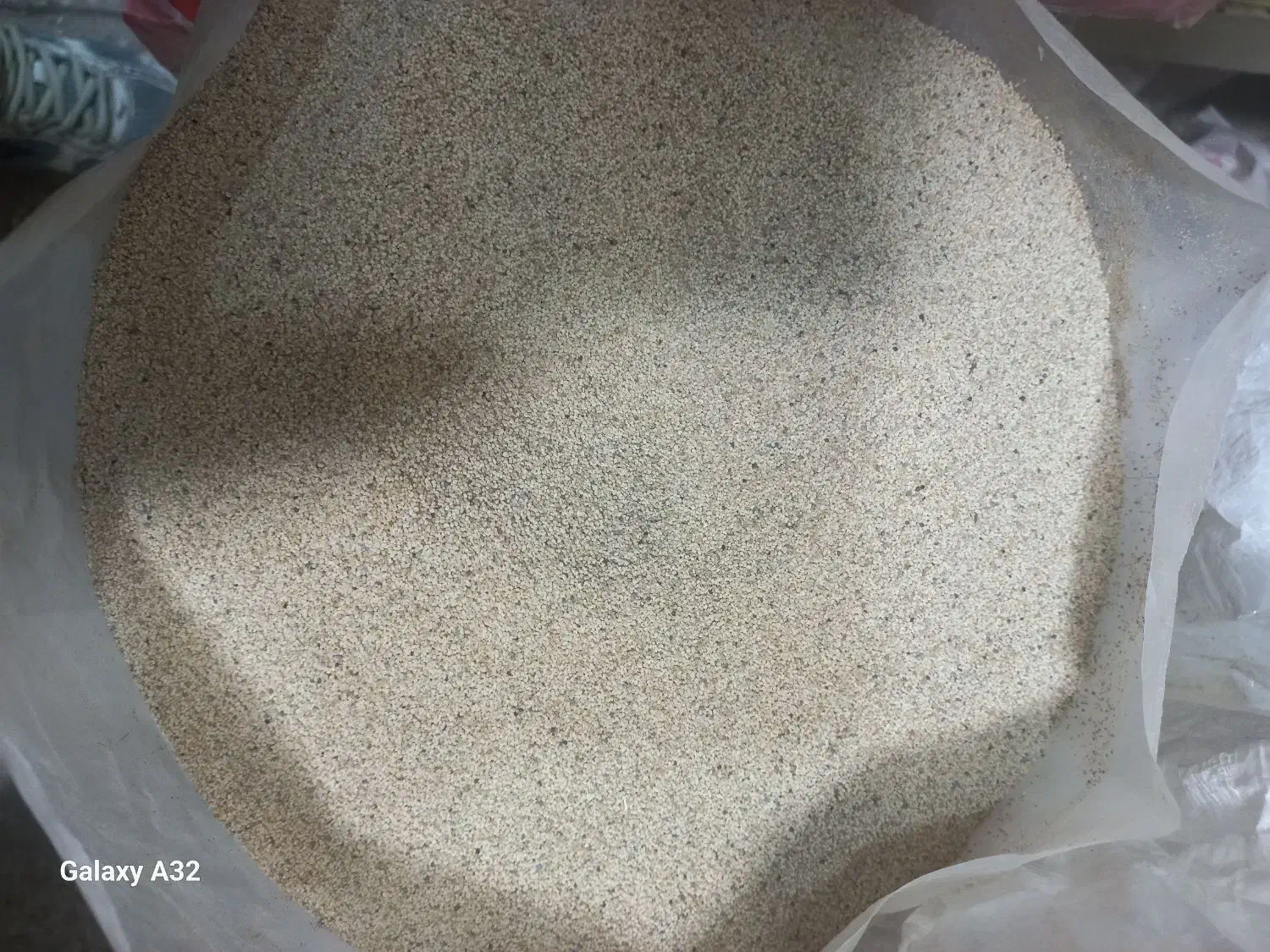 دانه خوراکی خشخاش|خوردنی و آشامیدنی|صدرا-فارس, فاز ۱|دیوار