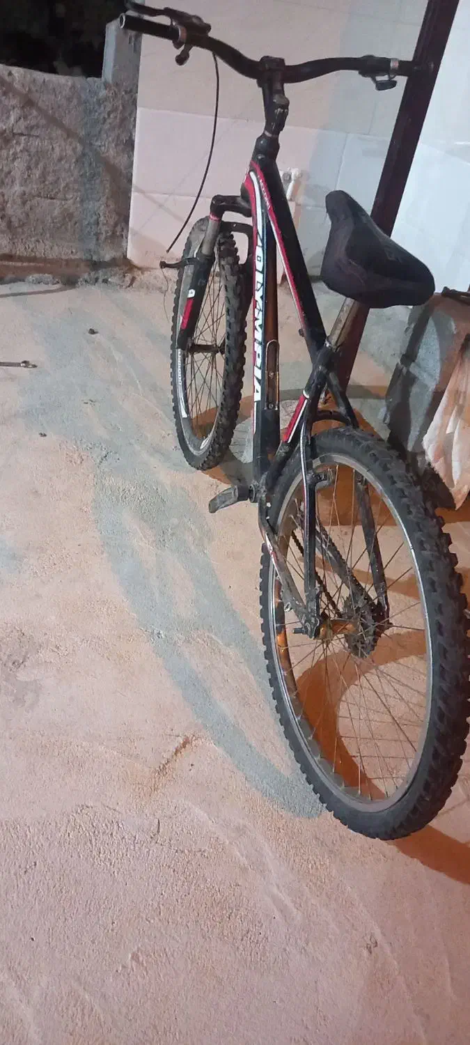 دوچرخه سواری|دوچرخه، اسکیت، اسکوتر|باشت, |دیوار