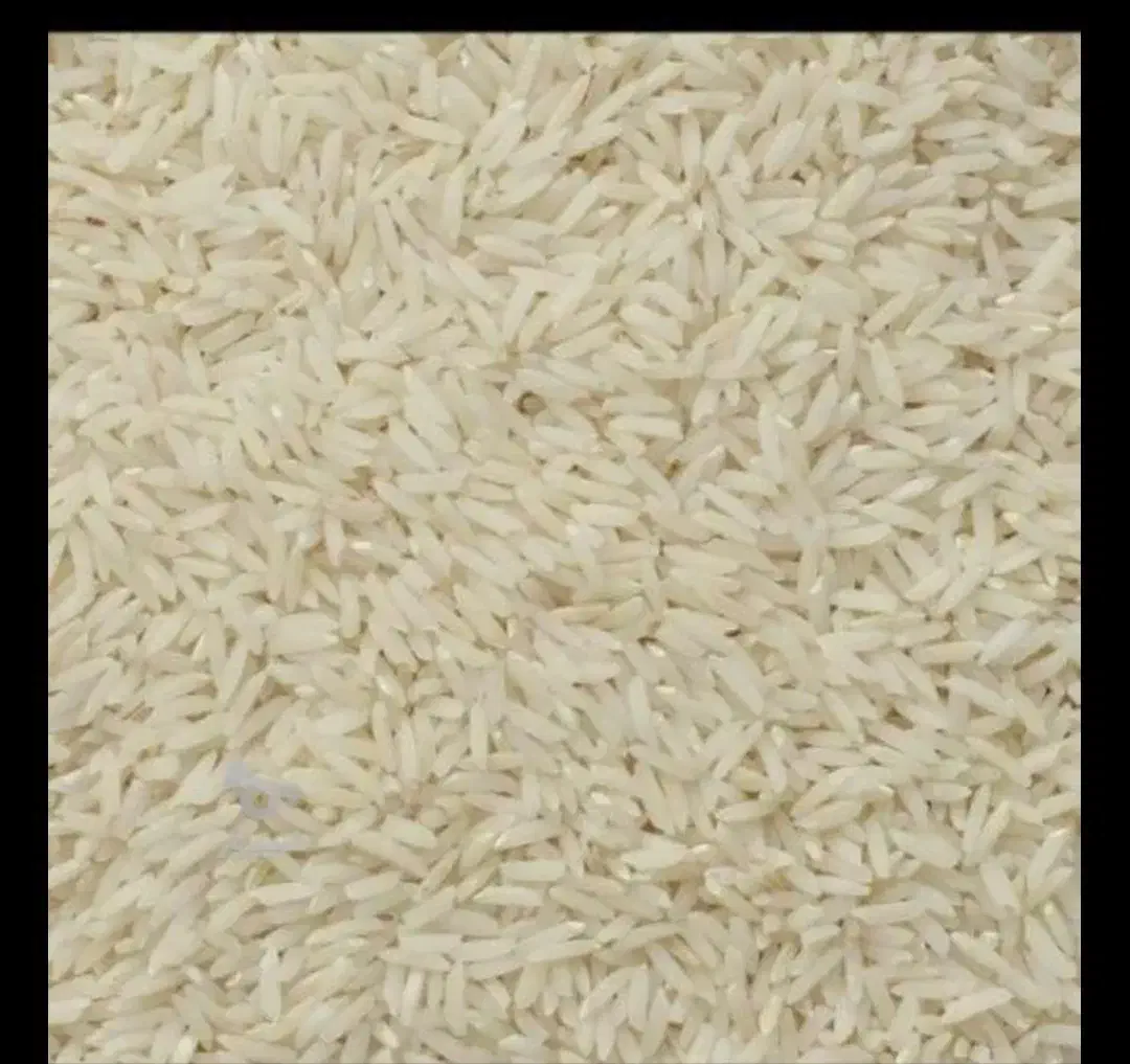 برنج ایرانی خالص هاشمی|خوردنی و آشامیدنی|تاکستان, |دیوار