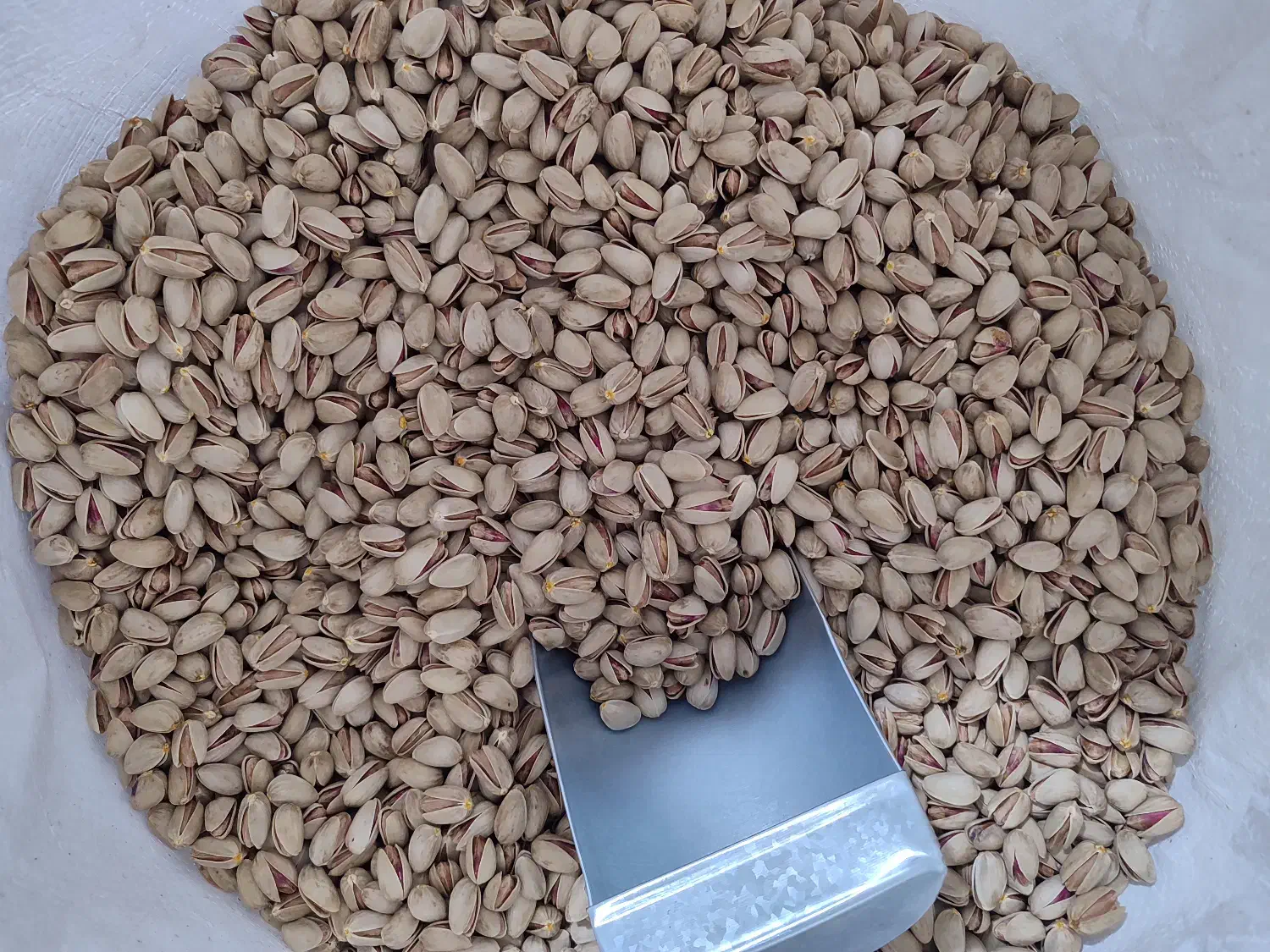 پسته|خوردنی و آشامیدنی|اصفهان, شهرک ولیعصر|دیوار