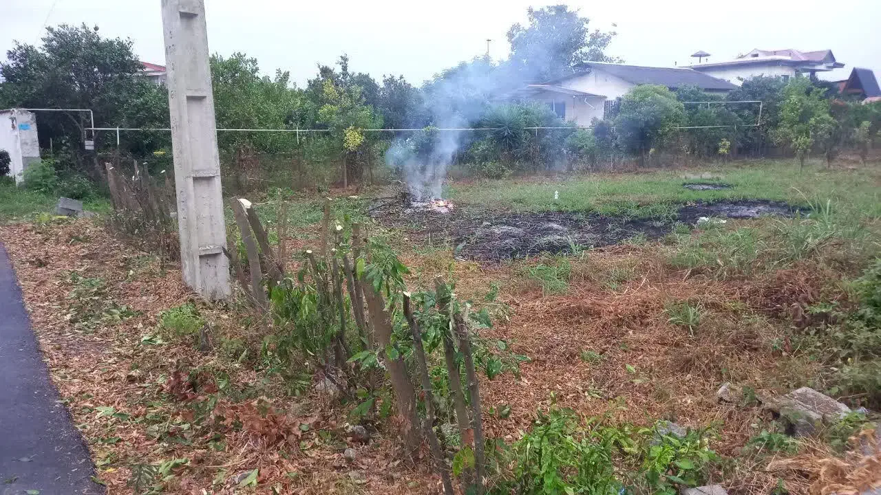 فروش زمین مسکونی در منطقه آزاد  چالکرودرامسر|فروش زمین و ملک کلنگی|دالخانی, |دیوار