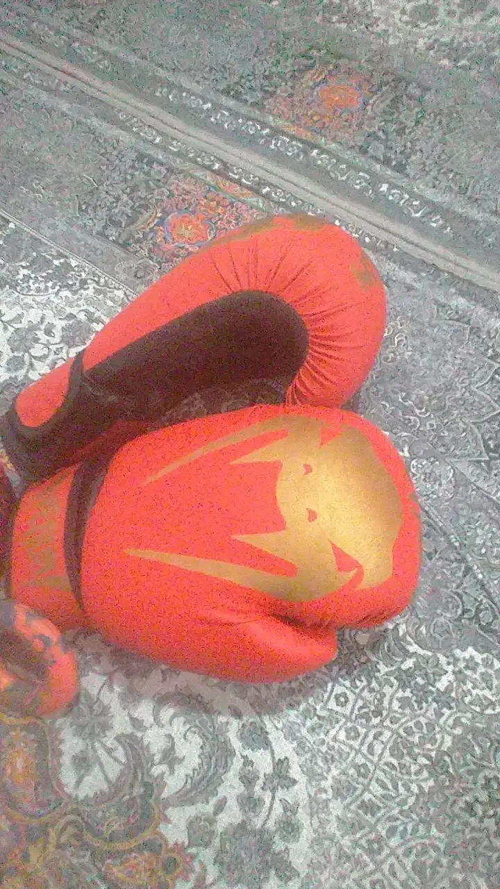 لوازم بوکس|تجهیزات ورزشی|شوشتر, |دیوار