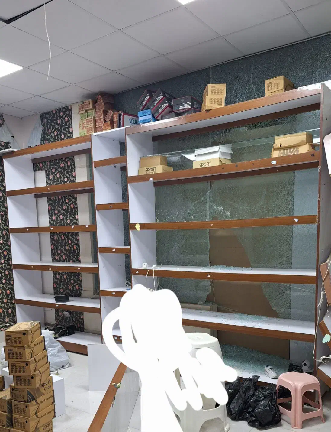 رگال ام دی اف|فروشگاه و مغازه|تربتحیدریه, باغ ملی|دیوار