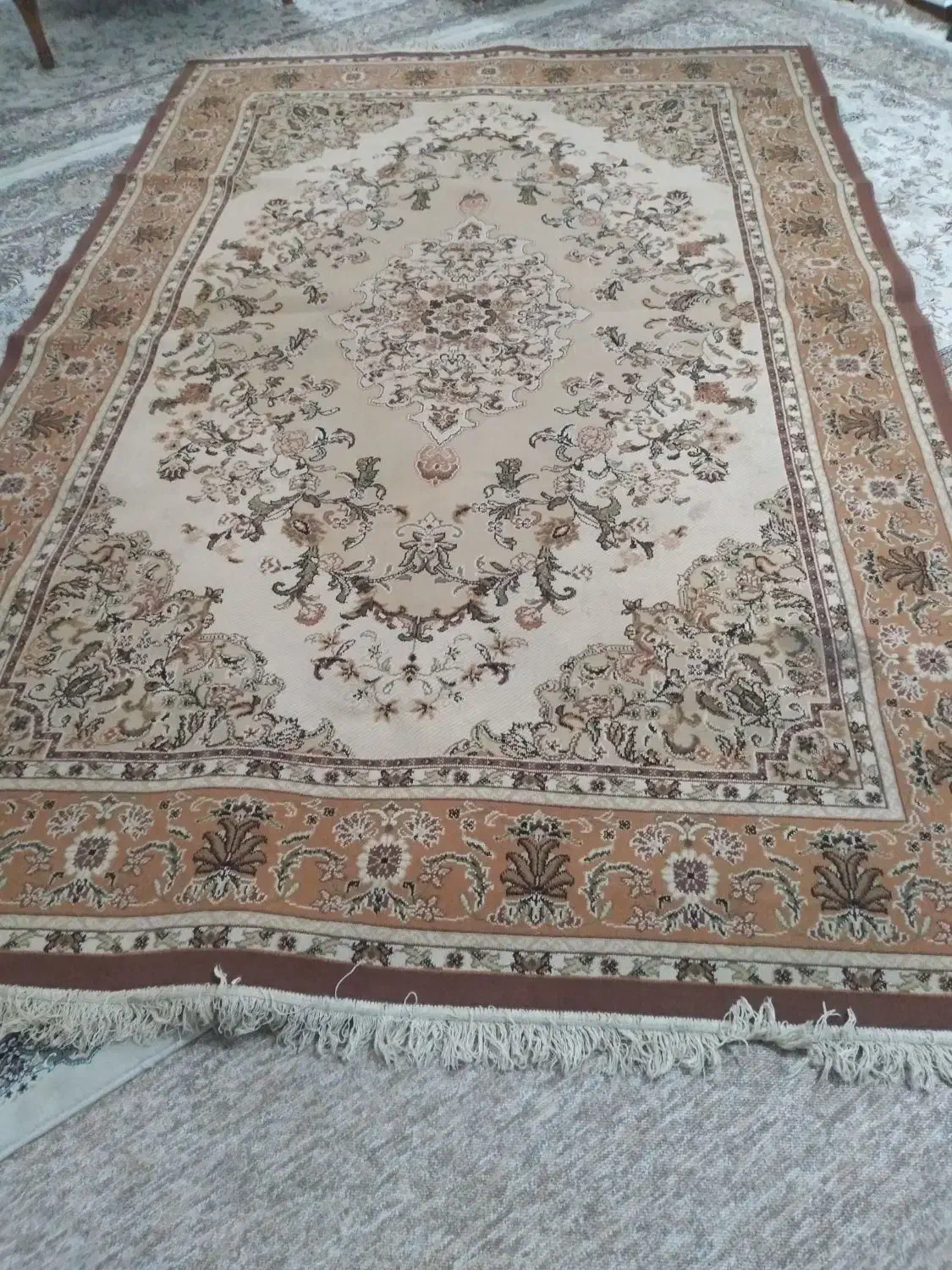 یک عددگلیم فرش ۶متری|گلیم، جاجیم، گبه|اهواز, کمپلو شمالی|دیوار