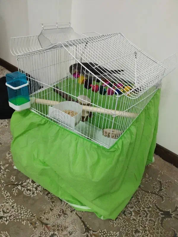 قفس زیبا کلبه ای مخصوص طوطی سانان|لوازم جانبی حیوانات|تهران, شهرک ابوذر|دیوار