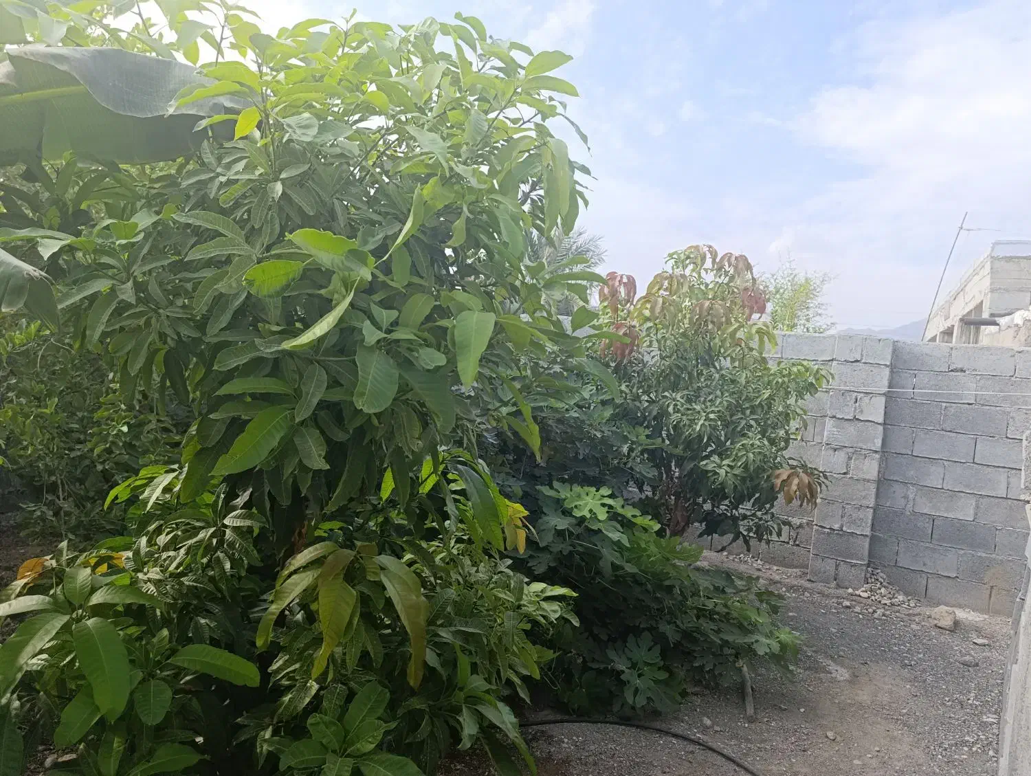 فروش خانه ویلایی ۱۴۰ متری ۲ خوابه|فروش خانه و ویلا|منوجان, |دیوار