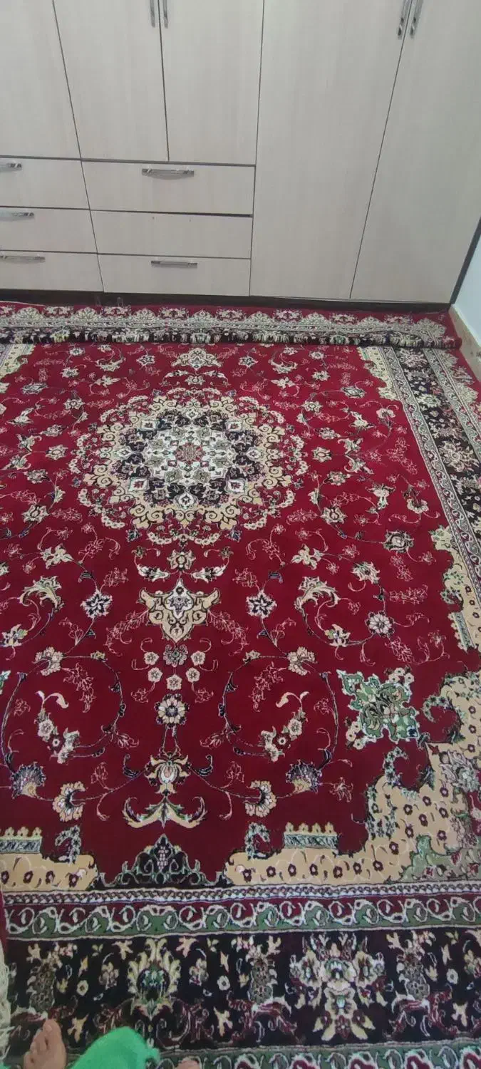 فرش نو|فرش|دهگلان, |دیوار