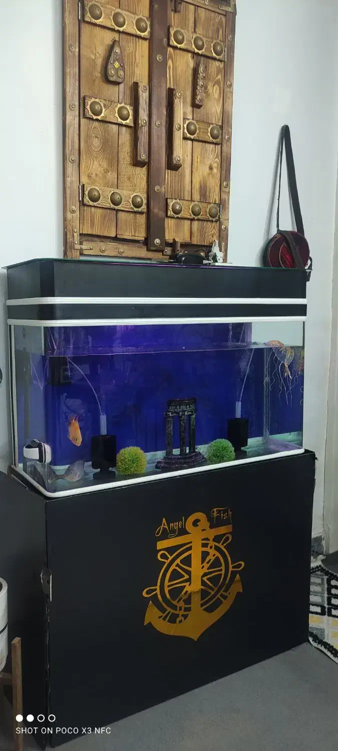 فروش آکواریوم بزرگ وپایه دار|ماهی|خرمآباد, |دیوار