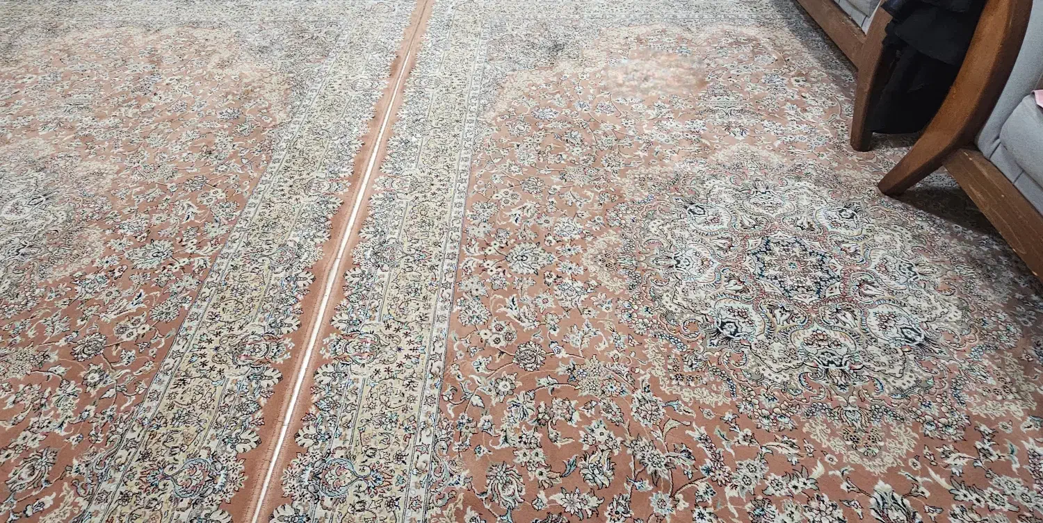 فرش ۶ متری و کناره ۴ متری|فرش|رشت, کوی مهر|دیوار