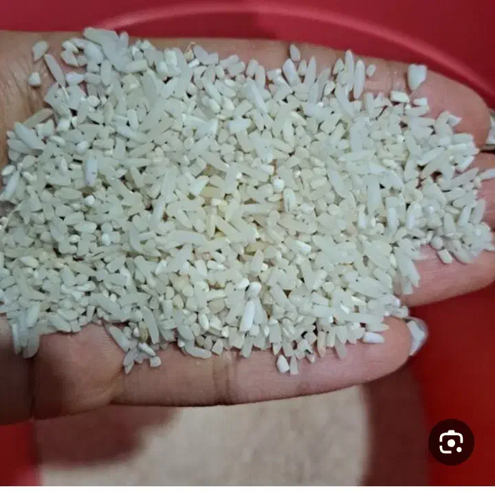 برنج هاشمی و لاشه برنج|عمدهفروشی|تالش, تالش|دیوار