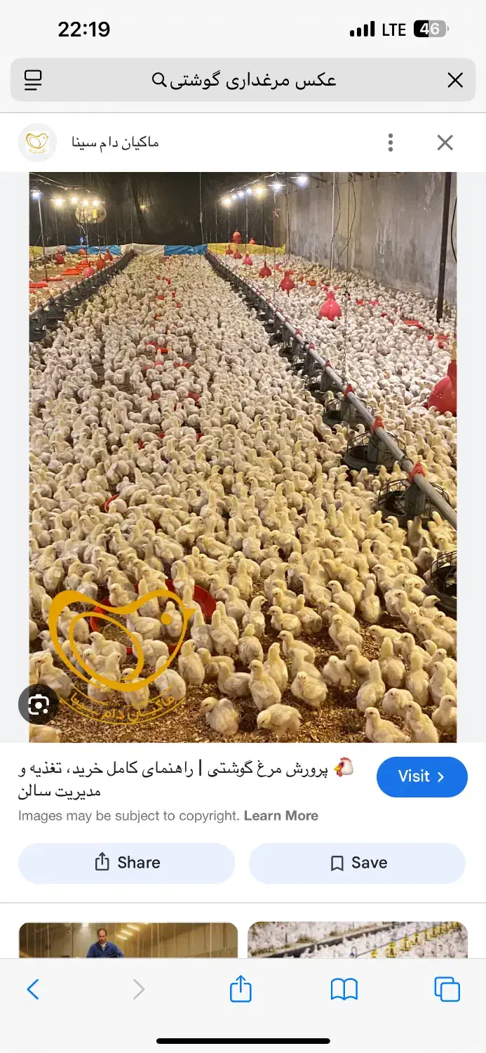 نیازمند کارگر مرغداری گوشتی|استخدام صنعتی، فنی، مهندسی|مود, |دیوار