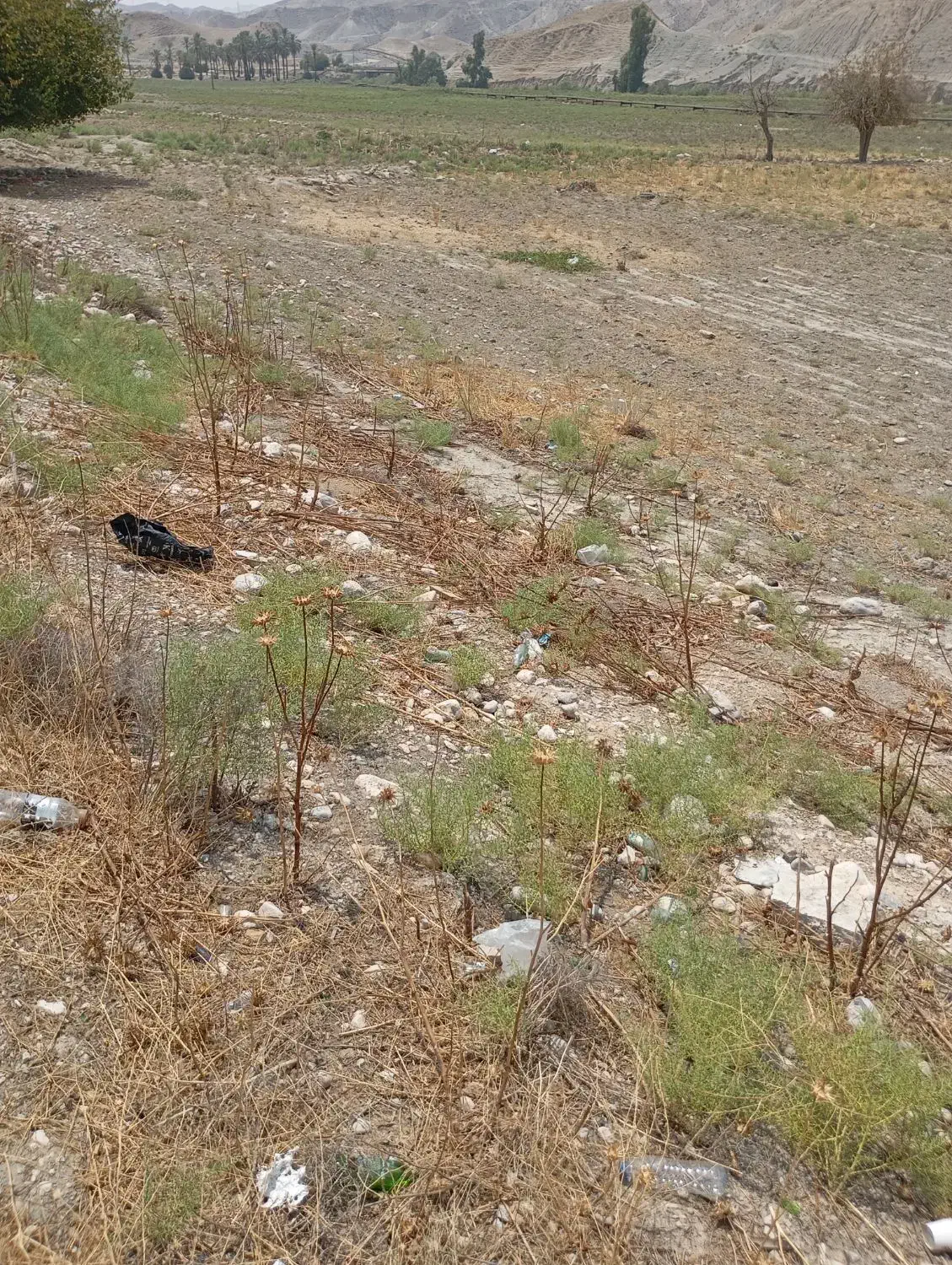 فروش زمین تجاری سنددار کنار جاده اصلی|فروش زمین و ملک کلنگی|دوگنبدان, |دیوار