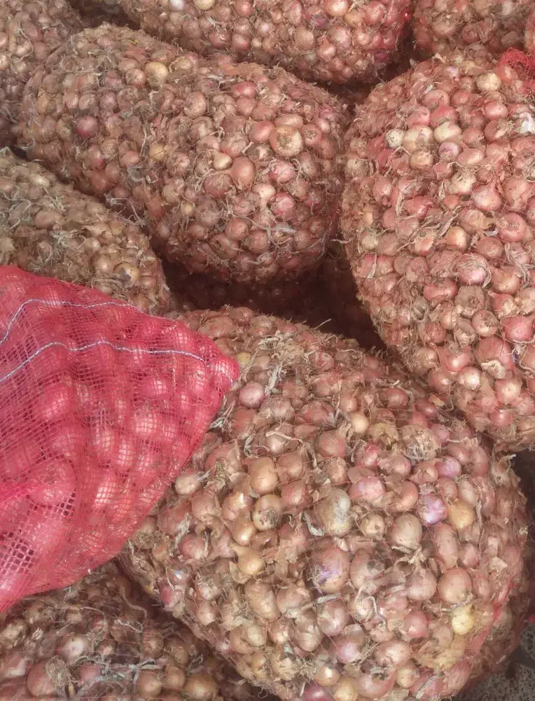 پیاز ریز درجه 2 سپیدان برغونی|خوردنی و آشامیدنی|همایجان, |دیوار