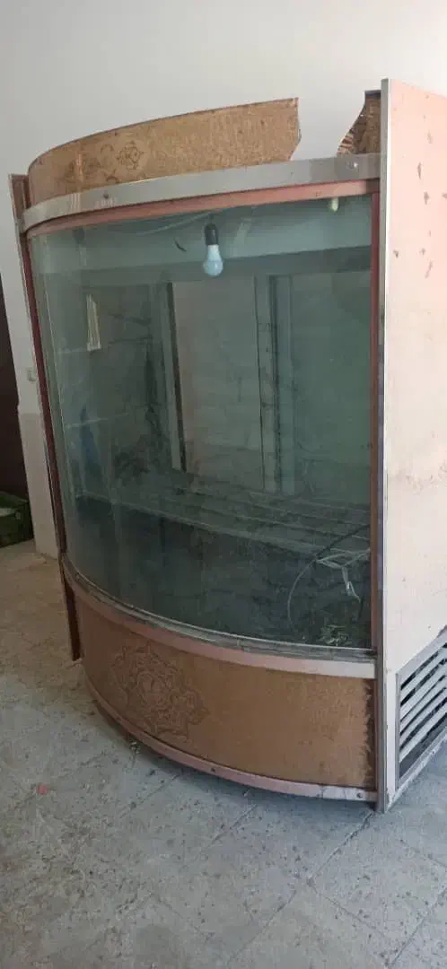 یخچال ویترینی مغازه|فروشگاه و مغازه|فسا, |دیوار