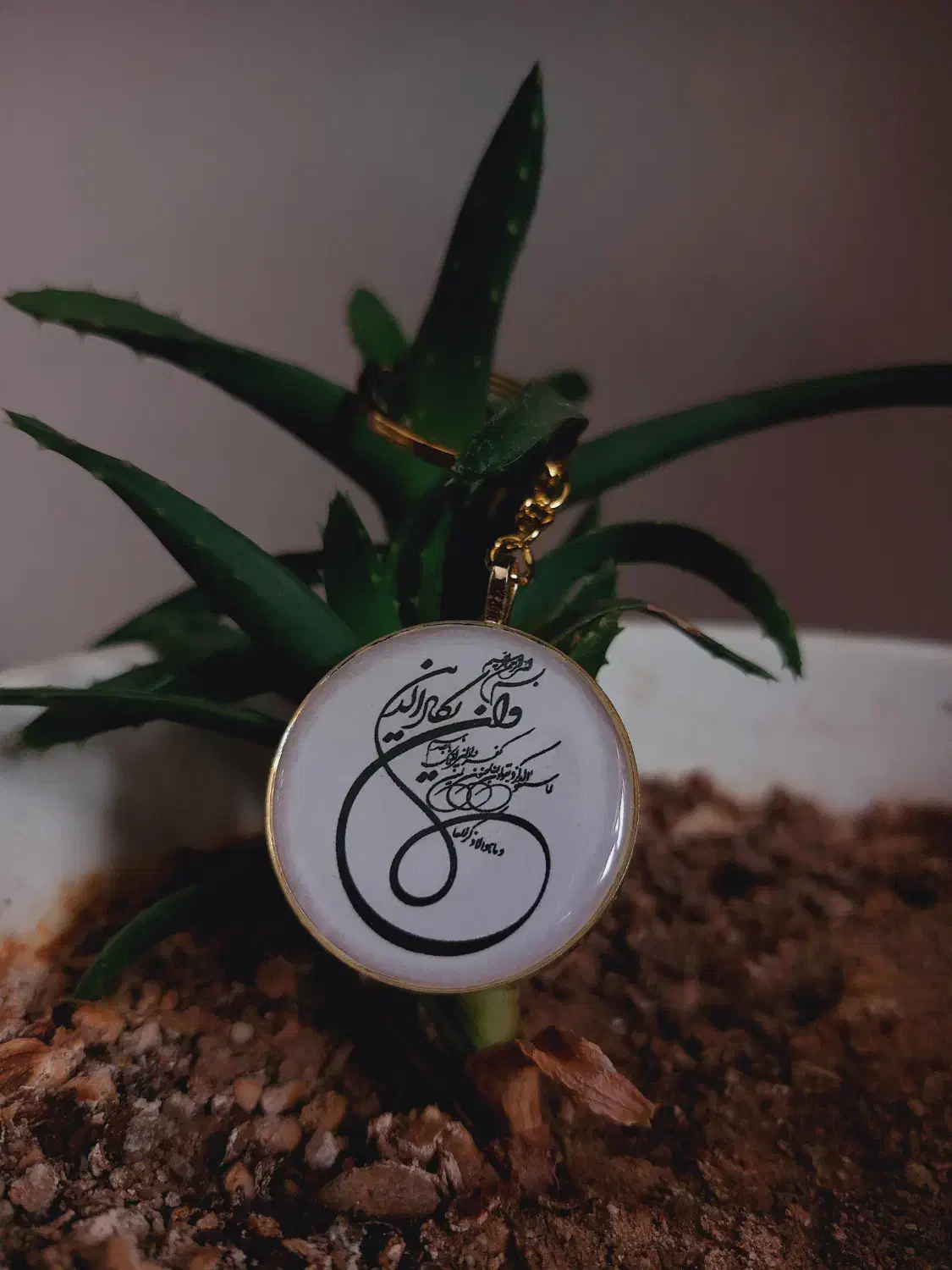 جاسوئیچی پلاک ماشین|بدلیجات|پارس‌آباد, |دیوار