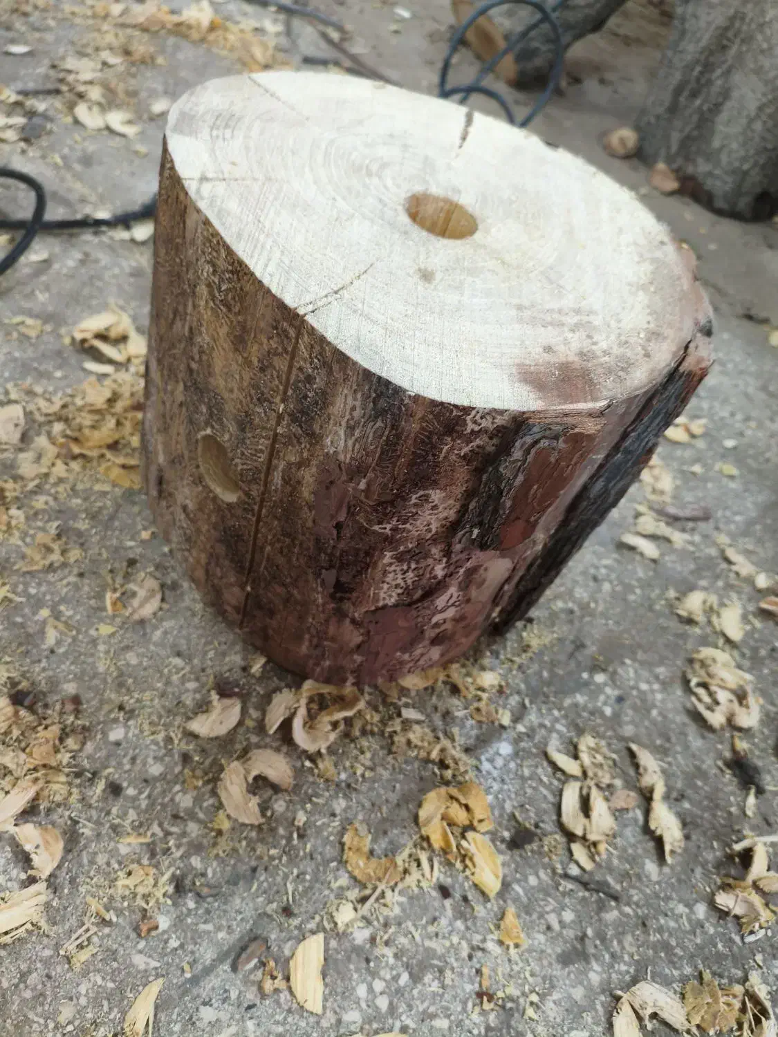 هیزم دورهمی (با قرص خودسوز)|کوهنوردی و کمپینگ|قم, بیانی|دیوار