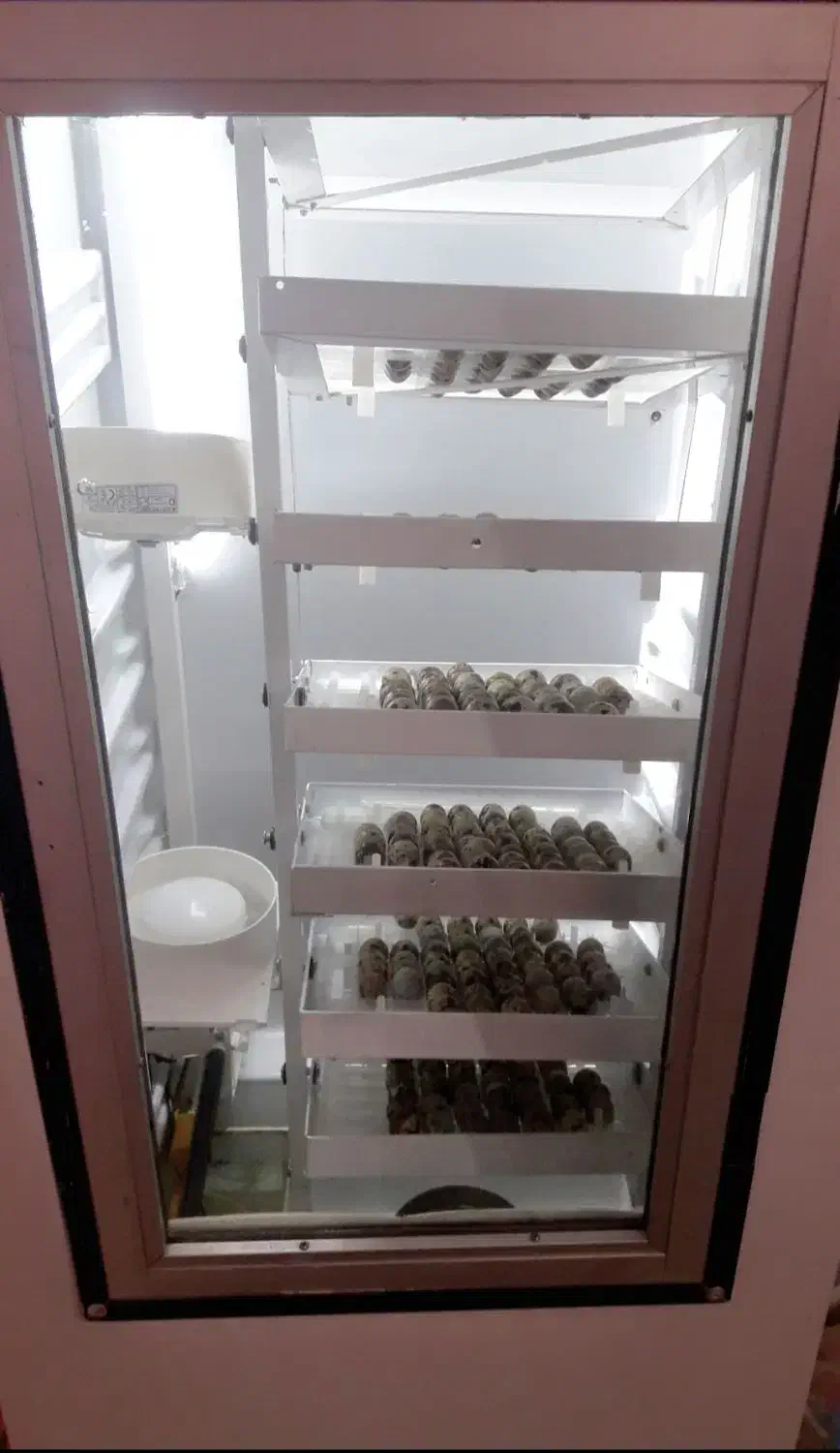 دستگاه جوجه کشی فول اتومات|لوازم جانبی حیوانات|داراب, |دیوار