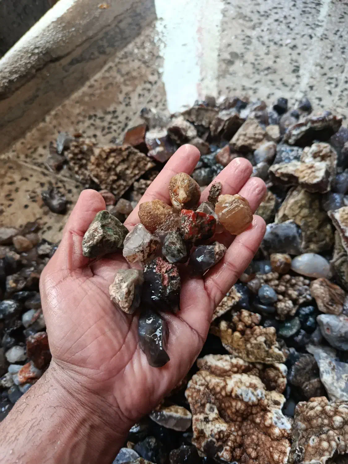 سنگ عقیق|جواهرات|بوشهر, |دیوار