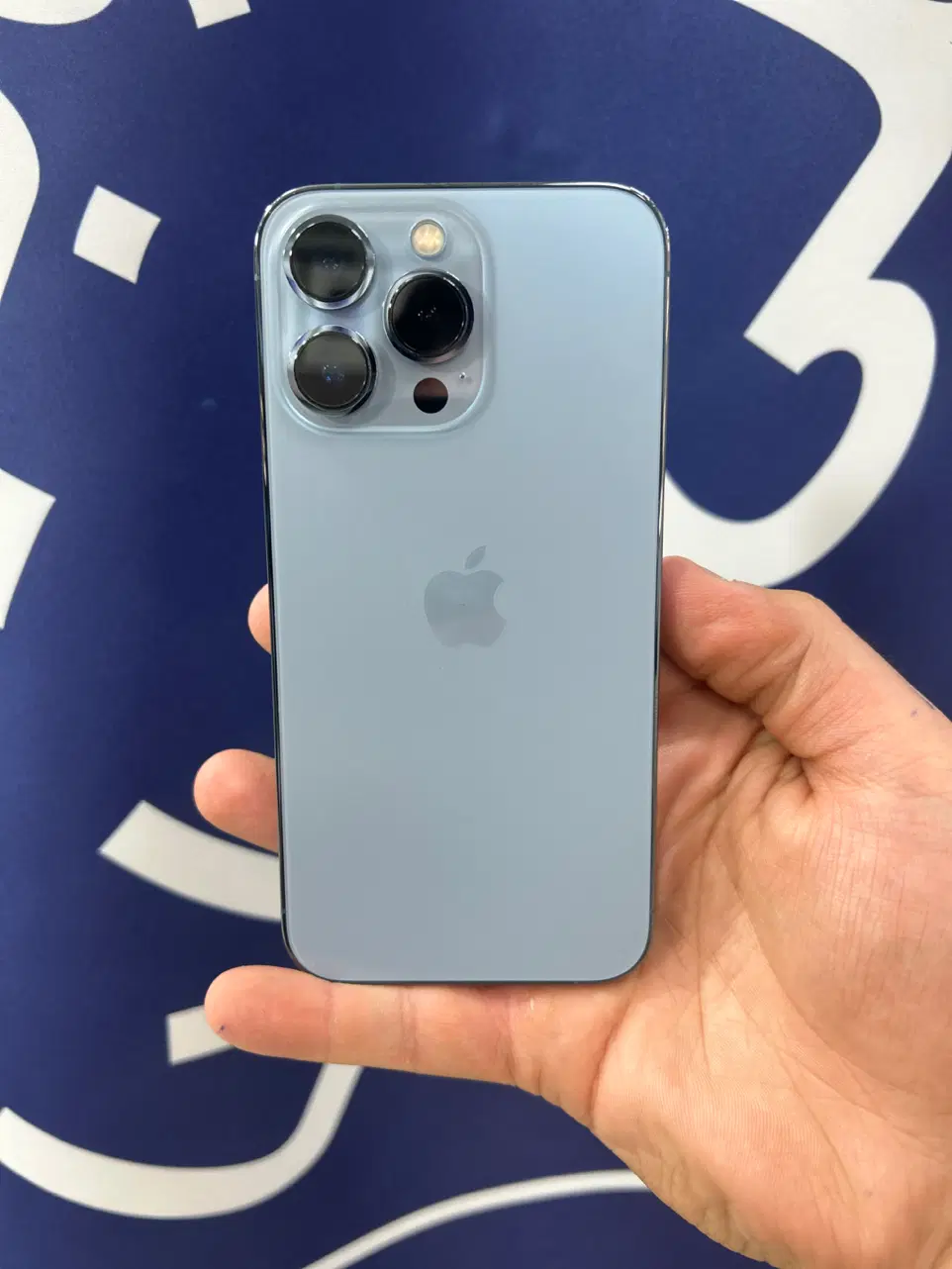 iphone 13 pro|موبایل|قم, چهل درخت‎|دیوار