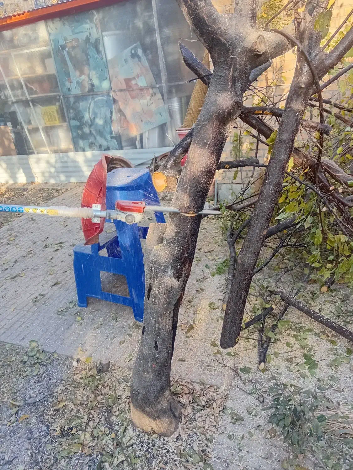 اره موتوری و چاله کن|خدمات باغبانی و درختکاری|مهاجران, |دیوار