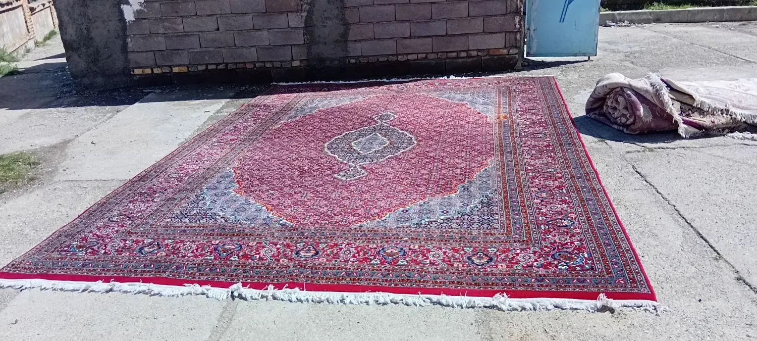 فرش|فرش|سقز, |دیوار