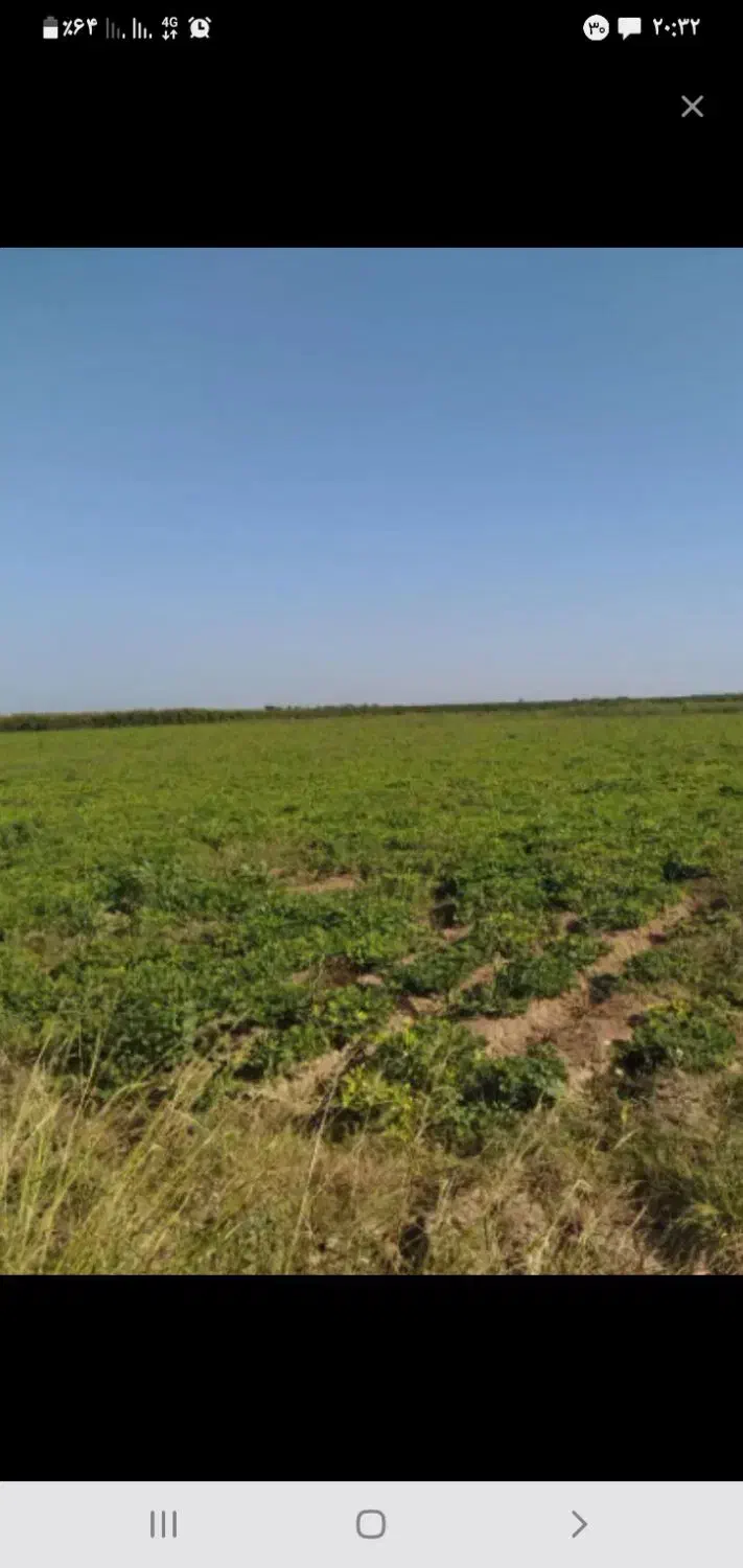 سرکار گرهستم دنبال کار در مزرعه بادام زمینی هستم|خدمات باغبانی و درختکاری|پارسآباد, |دیوار