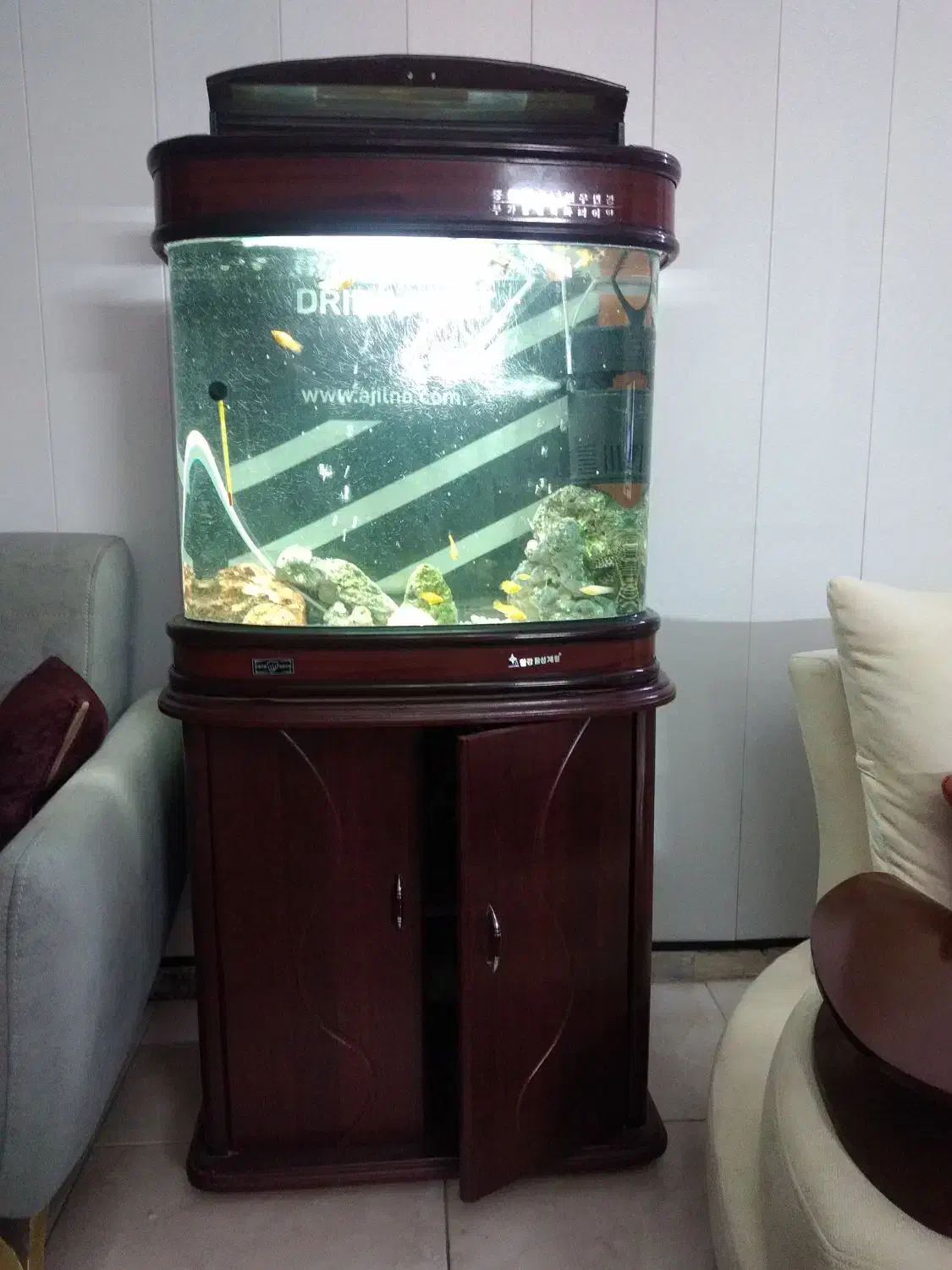 اکواریم خارجی  درحدنو 50/60باتمام لوازم وماهی|ماهی|مشهد, مشکینی (شهرک غرب)|دیوار