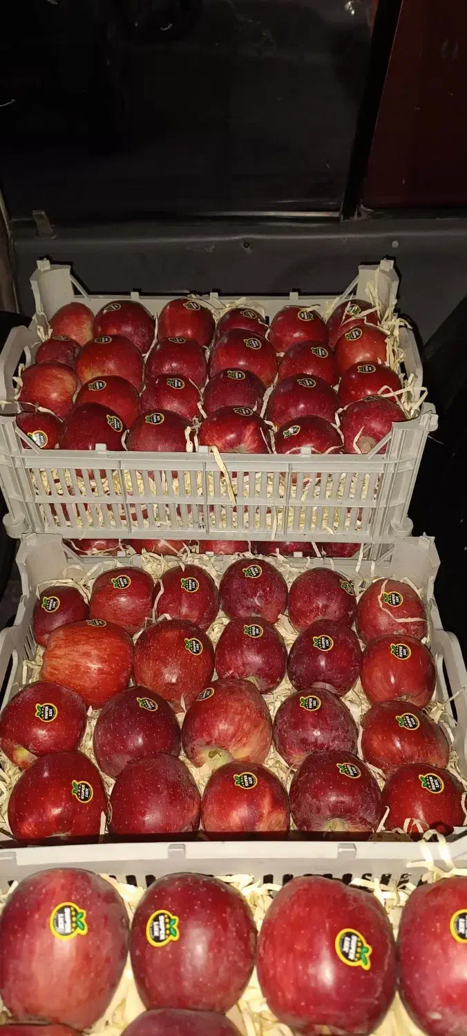 کار در میوه فروشی|استخدام خدمات فروشگاه و رستوران|ارومیه, |دیوار