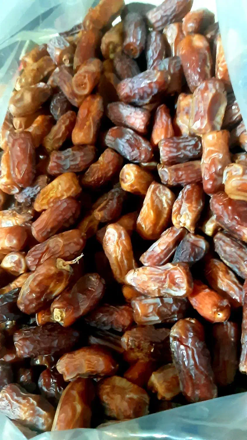 خرمای پیارم|خوردنی و آشامیدنی|شیراز, باغ تخت|دیوار