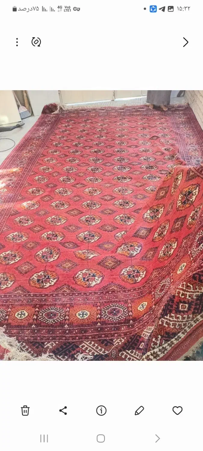 قالی ترکمنی فروشی|فرش|گنبد کاووس, |دیوار