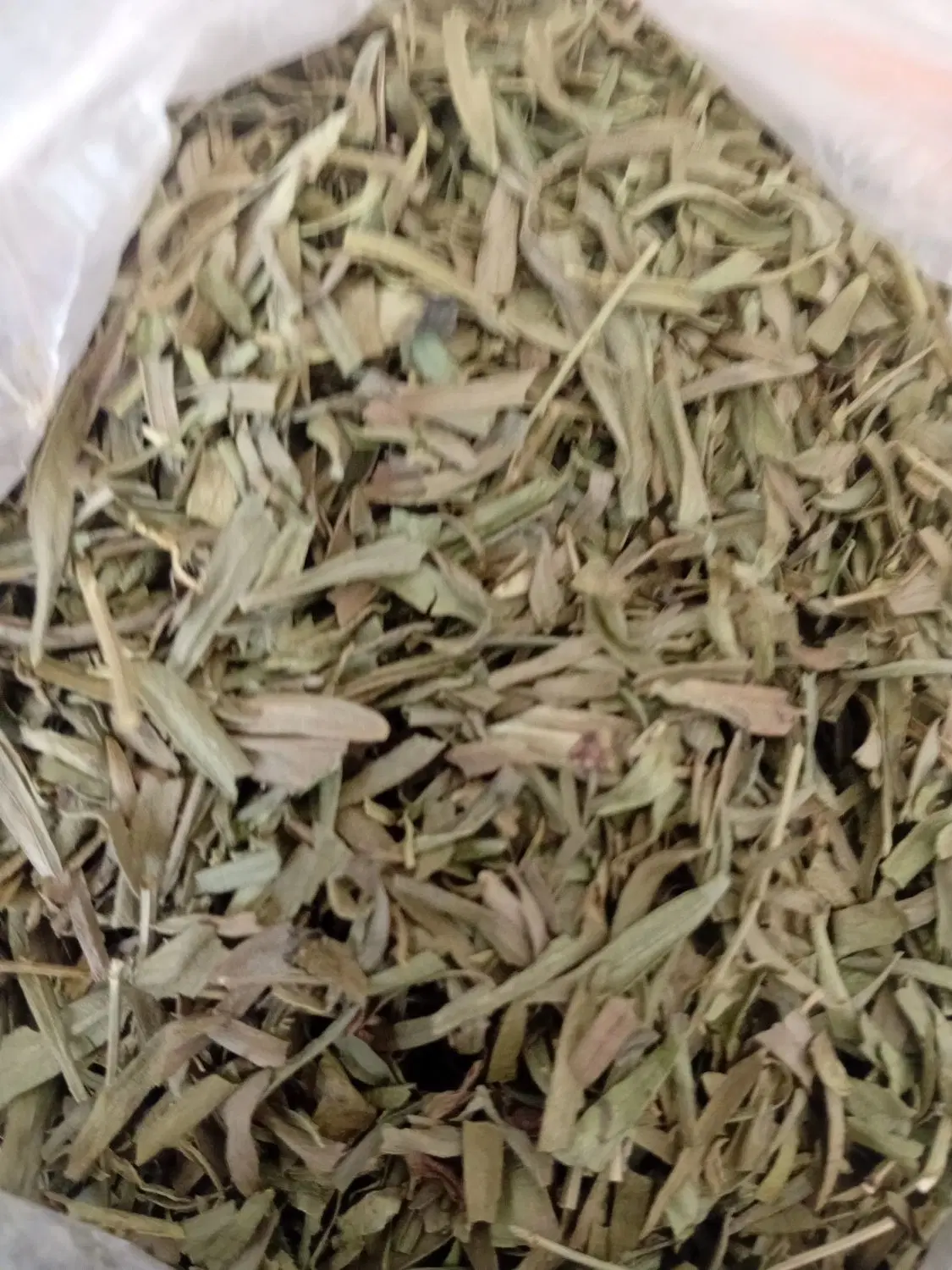 سبزی خشک|خوردنی و آشامیدنی|شیراز, بعثت|دیوار