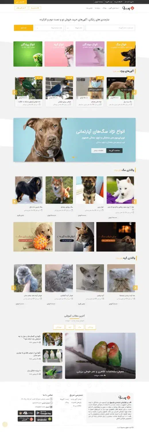 طراحی وبسایت و سئو|خدمات رایانهای و موبایل|شیراز, معالیآباد|دیوار