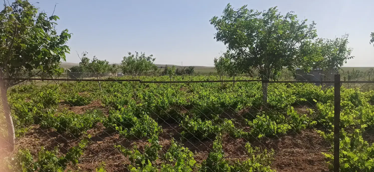 فروش یا معاوضه با زمین یا واحد در همدان|فروش زمین و ملک کلنگی|صالح آباد, |دیوار