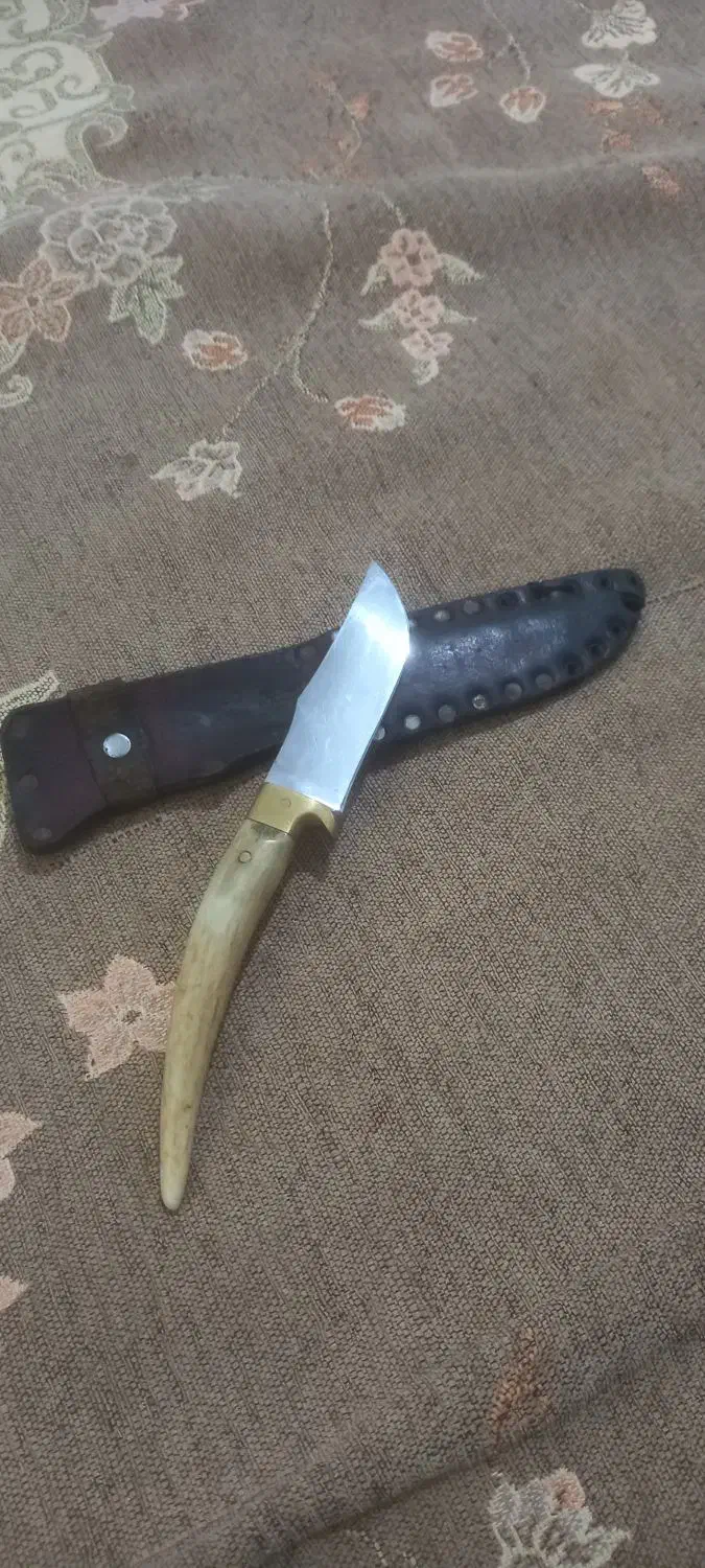 چاقو خوش دست|کوهنوردی و کمپینگ|آزادشهر, |دیوار