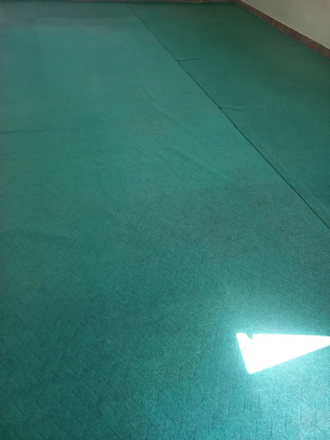 موکت ظریف مصور|موکت|بروجن, |دیوار