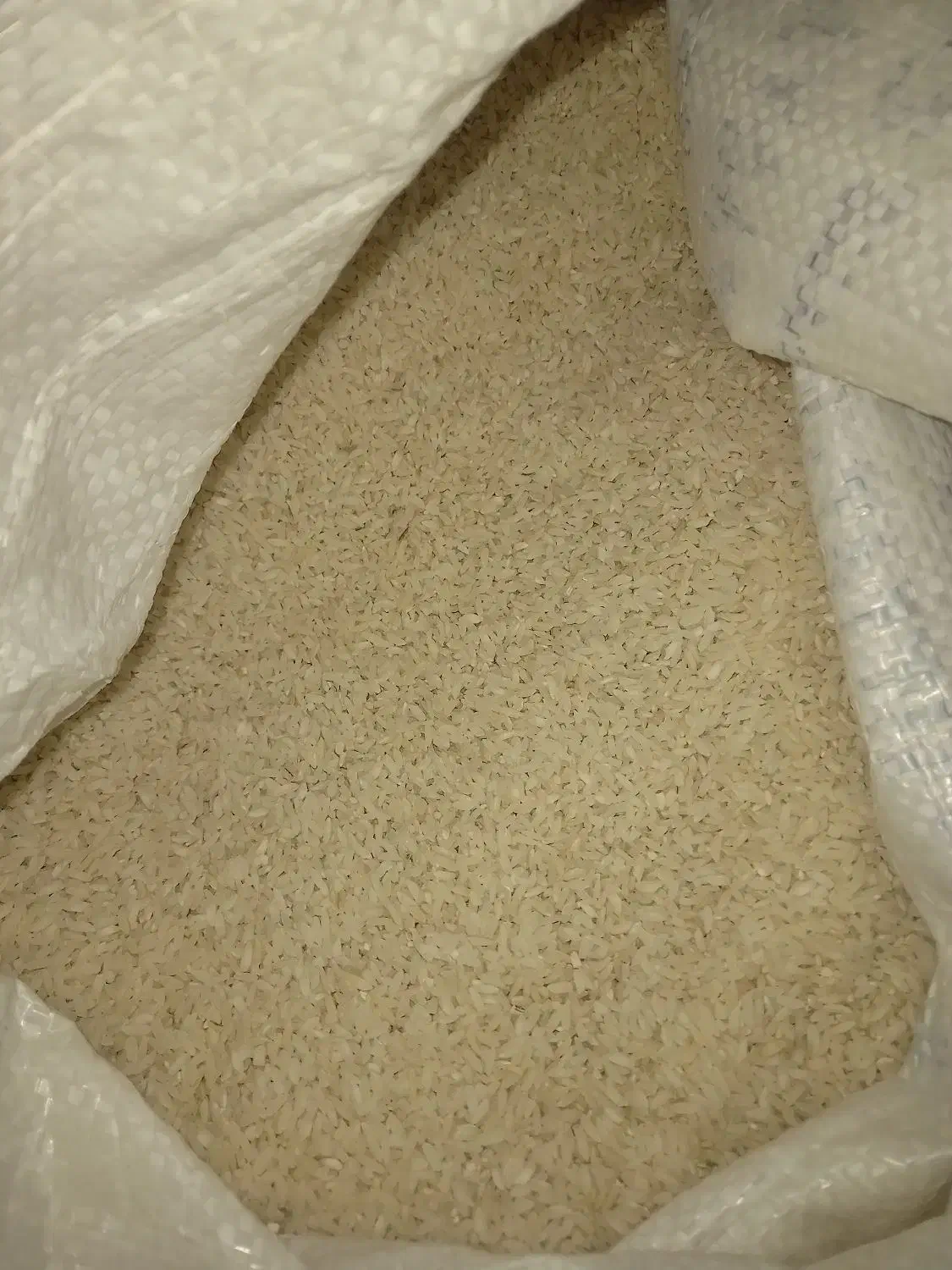 برنج چمپا|خوردنی و آشامیدنی|لردگان, |دیوار