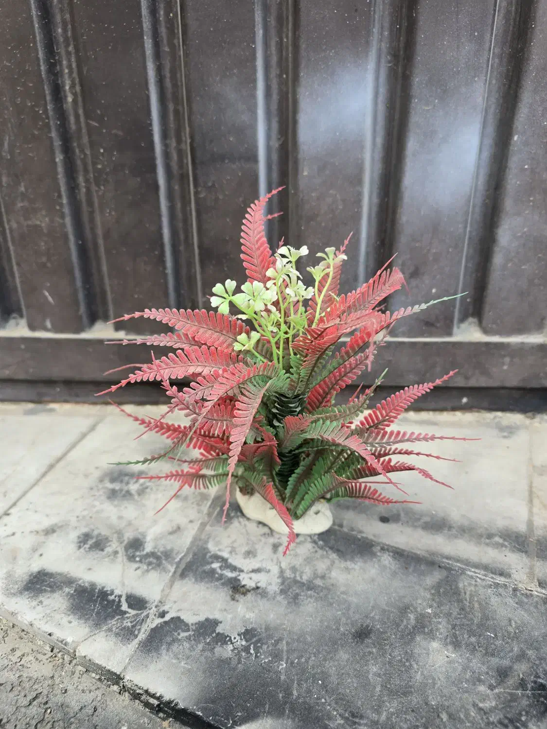 گل مصنوعی آکواریوم|ماهی|ارومیه, |دیوار