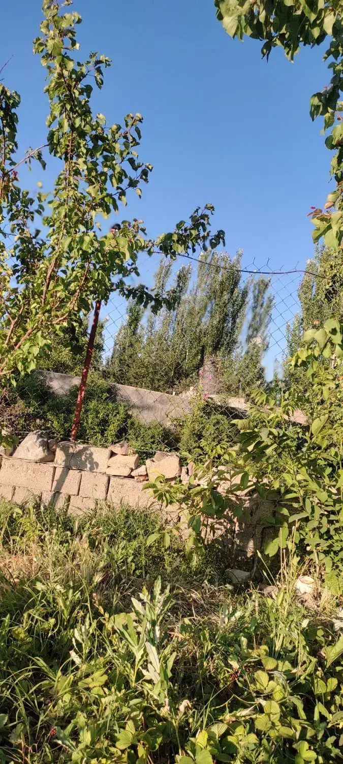 پرورش ماهی|فروش دفتر صنعتی، کشاورزی، تجاری|بکتاش, |دیوار