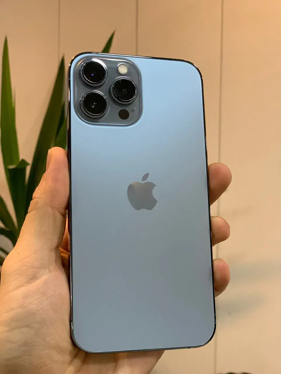 آیفون ۱۳ پرومکس iPhone 13 Promax|موبایل|کرج, گوهردشت|دیوار