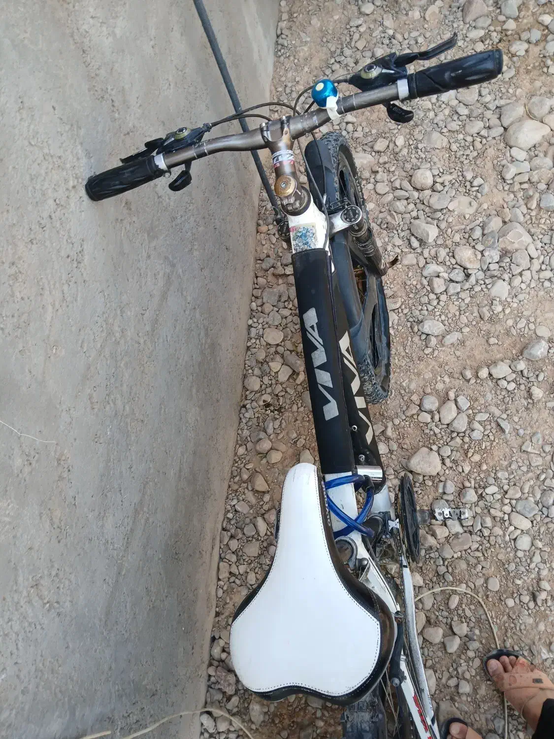 دوچرخه ۲۶ ویوا|دوچرخه، اسکیت، اسکوتر|اسفراین, |دیوار