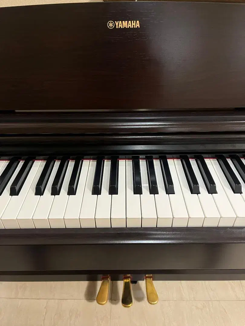 پیانو یاماها|پیانو، کیبورد، آکاردئون|زنجان, |دیوار