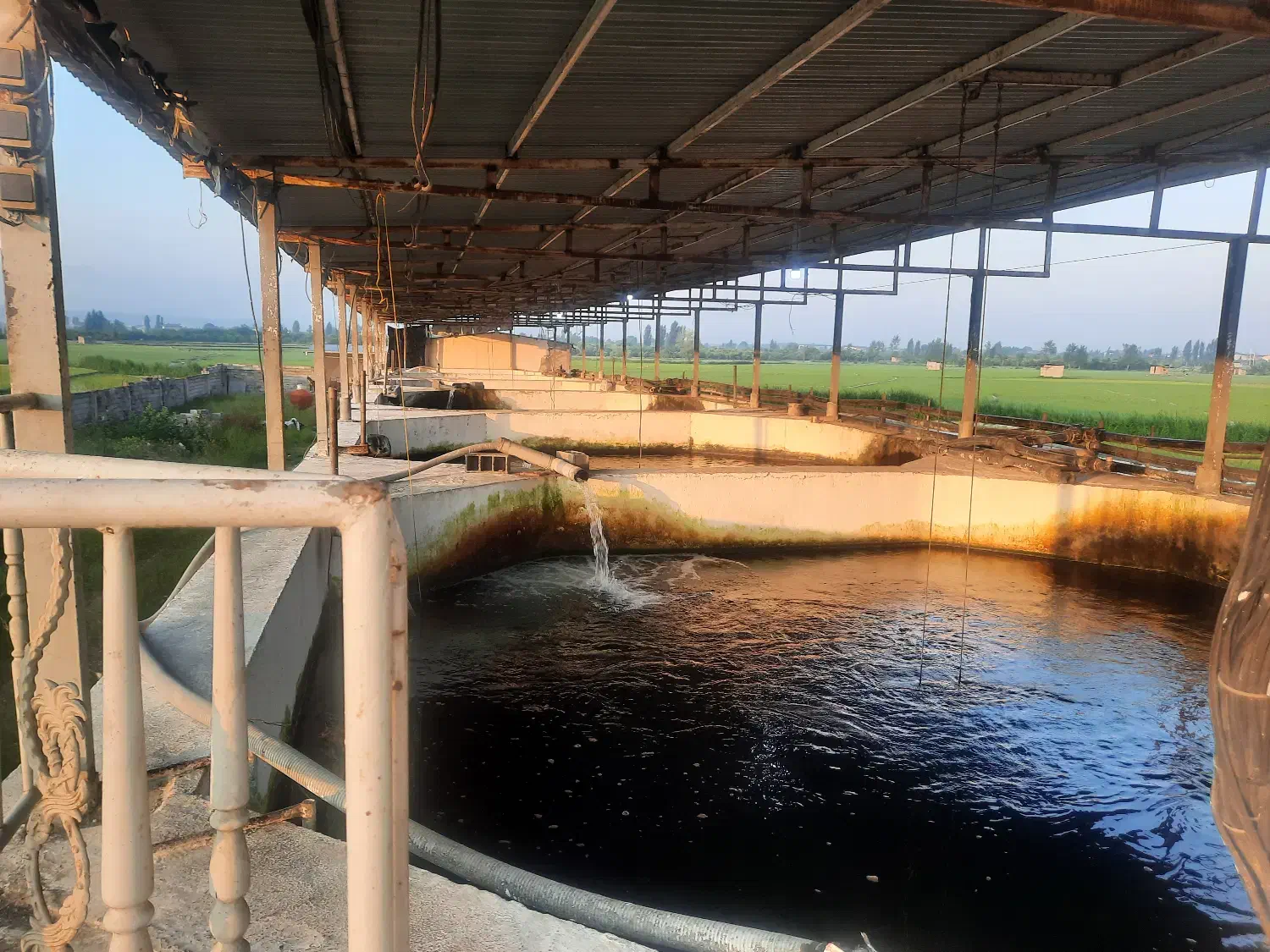 کارگر پرورش ماهی|استخدام سرایداری و نظافت|قائمشهر, |دیوار