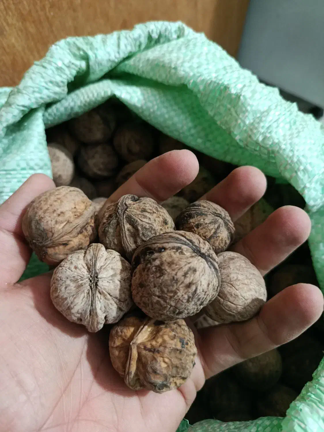 گردو|خوردنی و آشامیدنی|سنقر, |دیوار