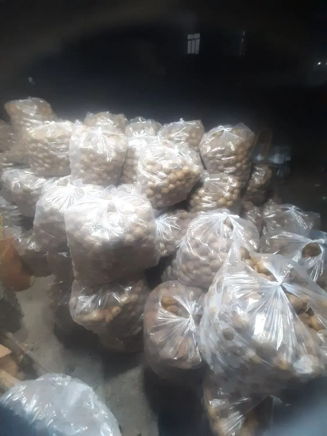 تامینوفروشکیویریز|خدمات باغبانی و درختکاری|لیسار, |دیوار