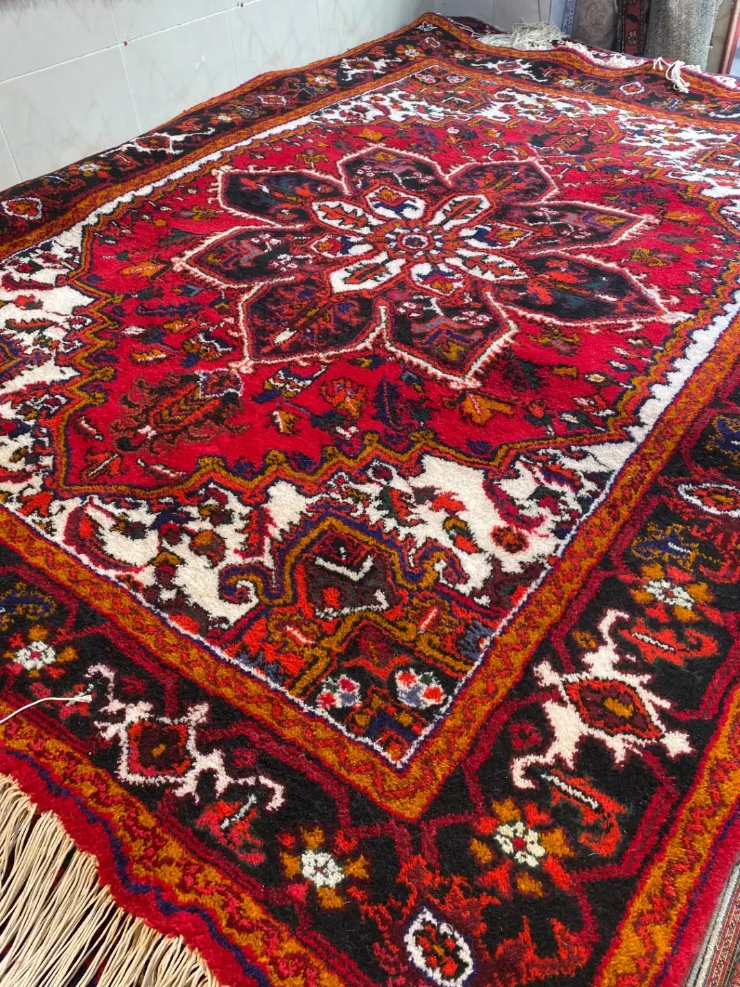 فرش ۶متری لاکی|فرش|تبریز, |دیوار